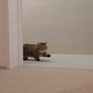 自分だけが呼んでいる有名人のあだ名を教えて コロモー