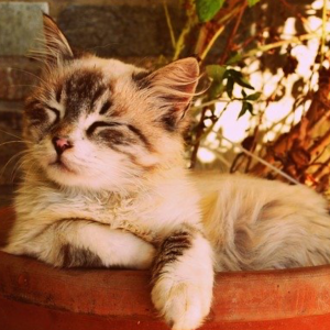 ちょっと長いけど完璧に覚えてる音ゲー曲名をアゲて コロモー